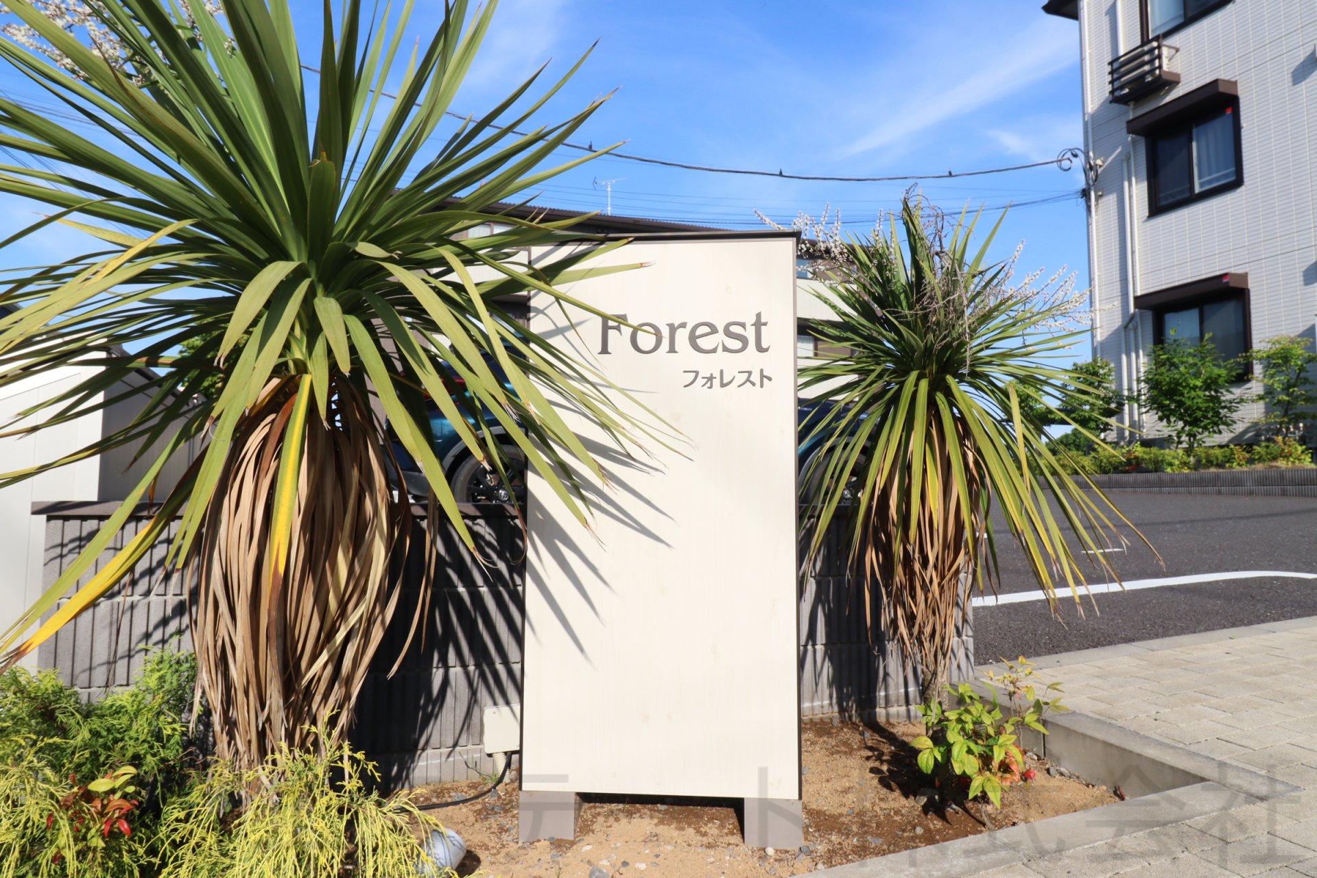 Forest AB