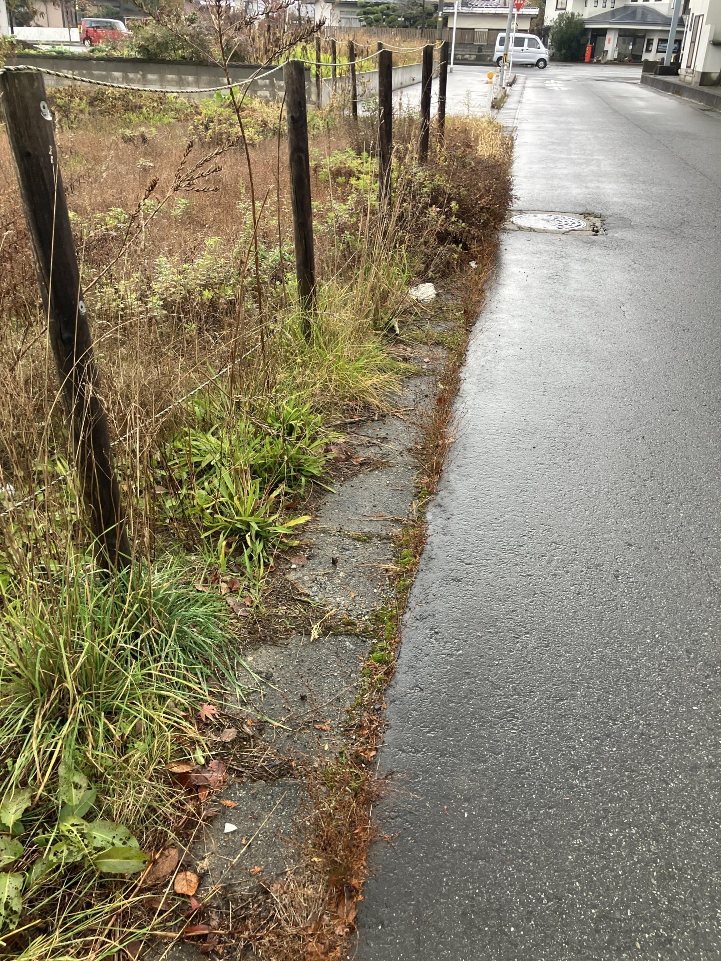 河北町谷地字月山堂　土地