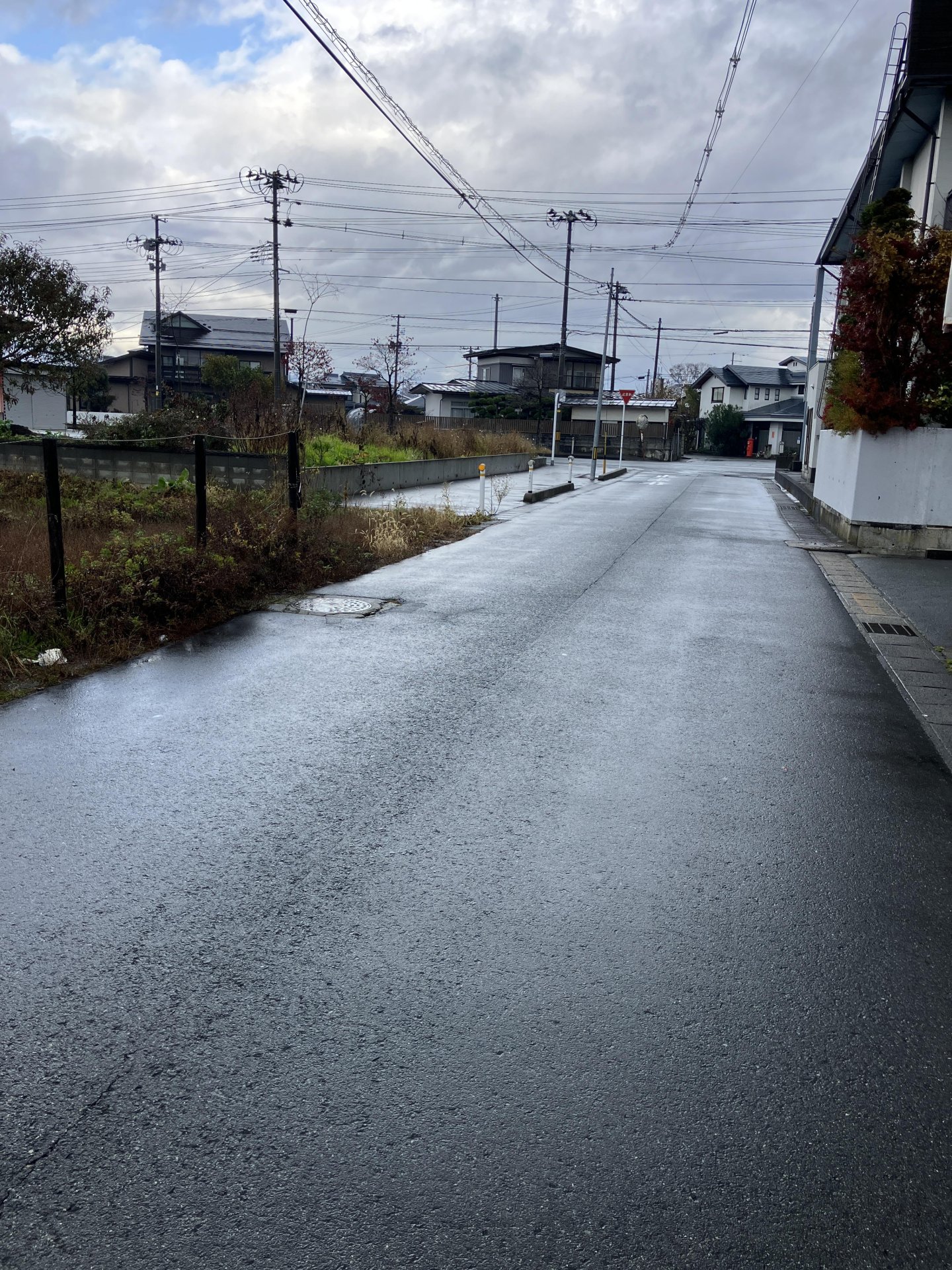 河北町谷地字月山堂　土地