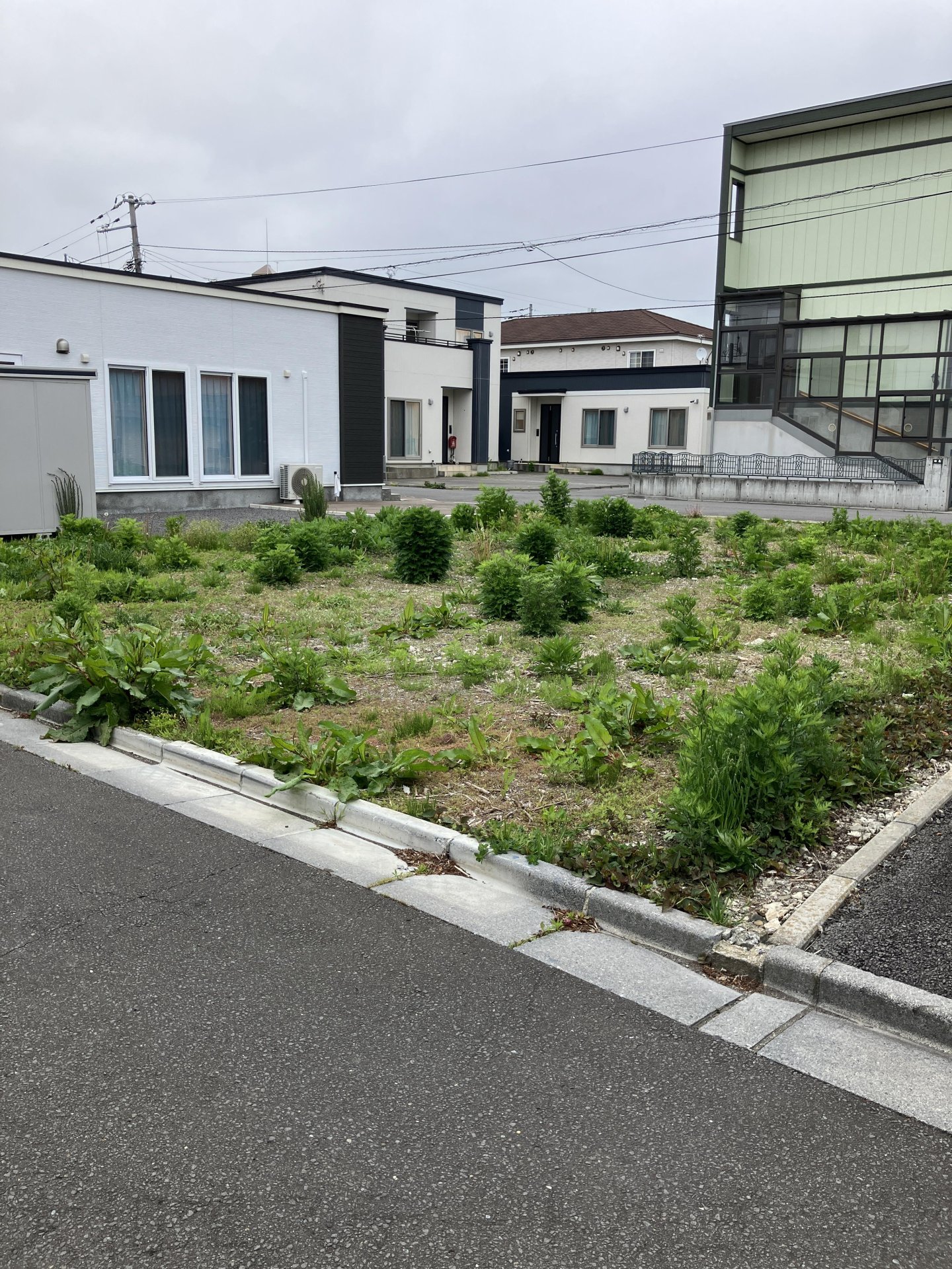 函館市湯川町三丁目土地
