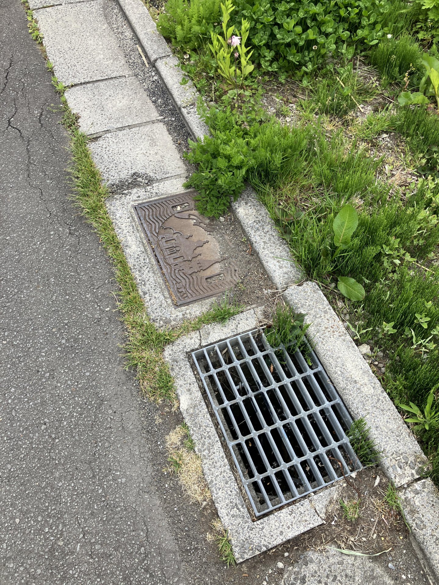 函館市湯川町三丁目土地