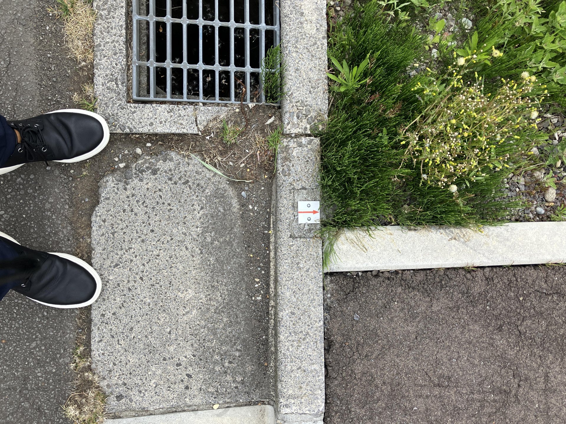 函館市湯川町三丁目土地