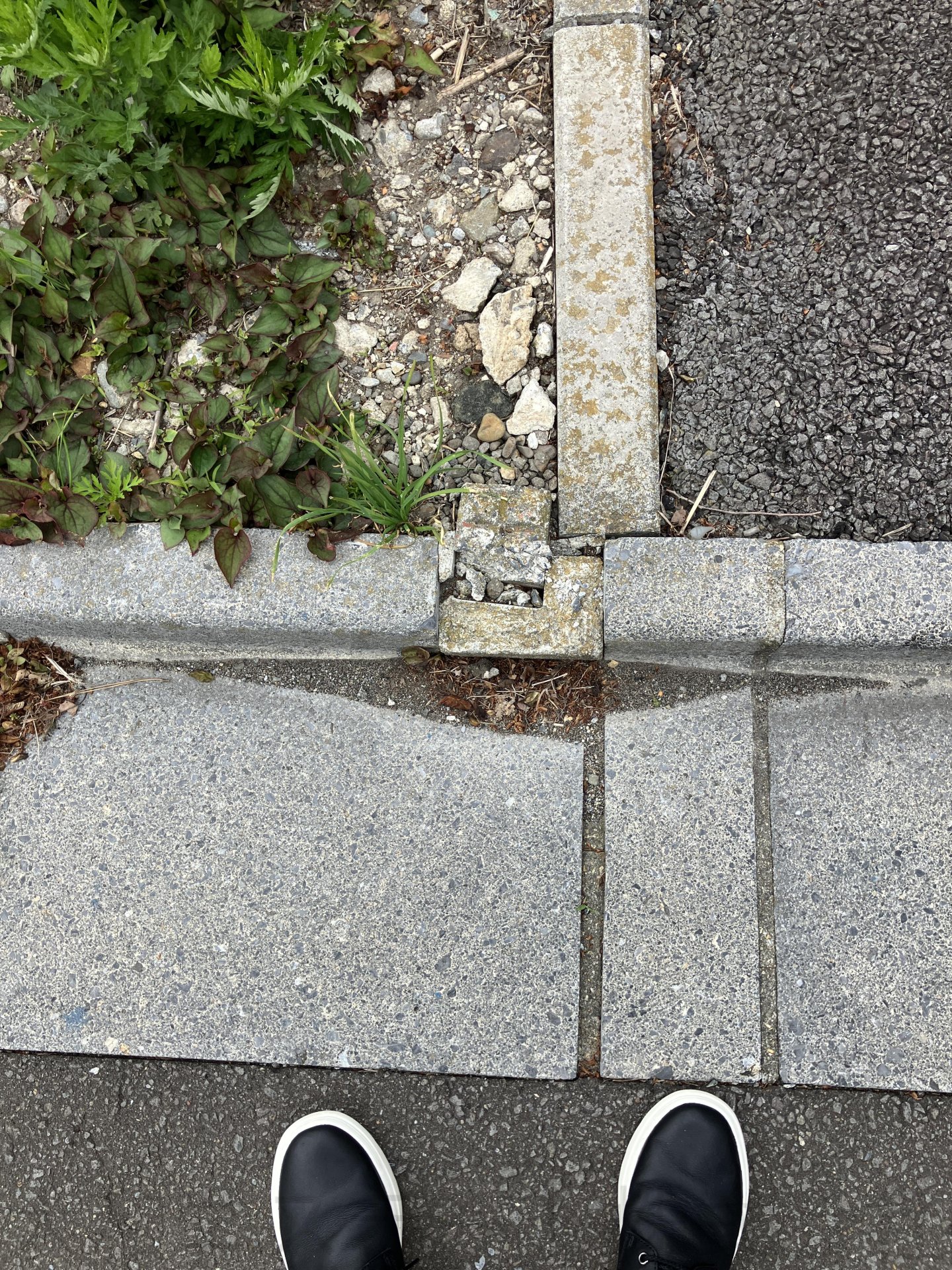 函館市湯川町三丁目土地