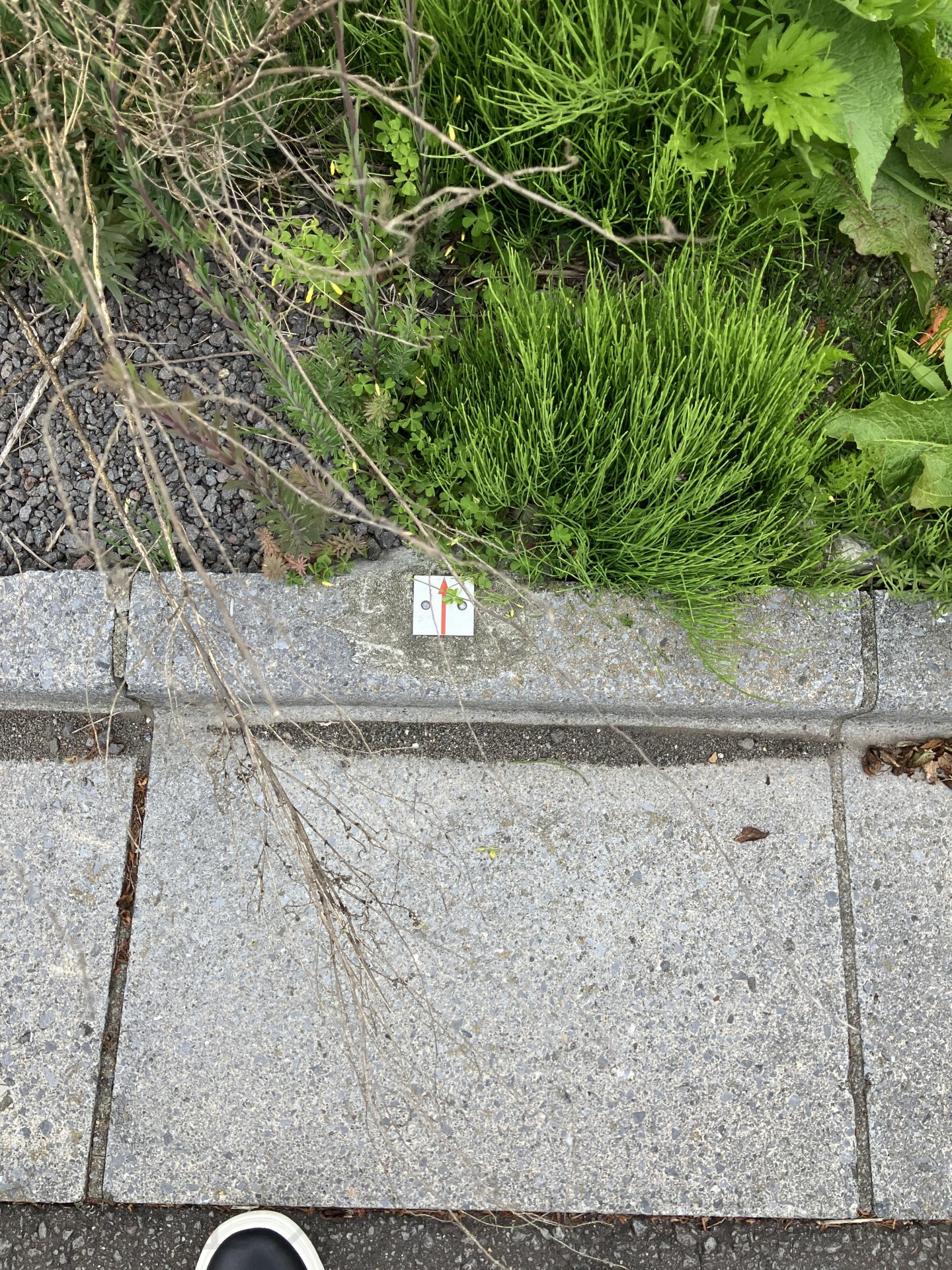函館市湯川町三丁目土地