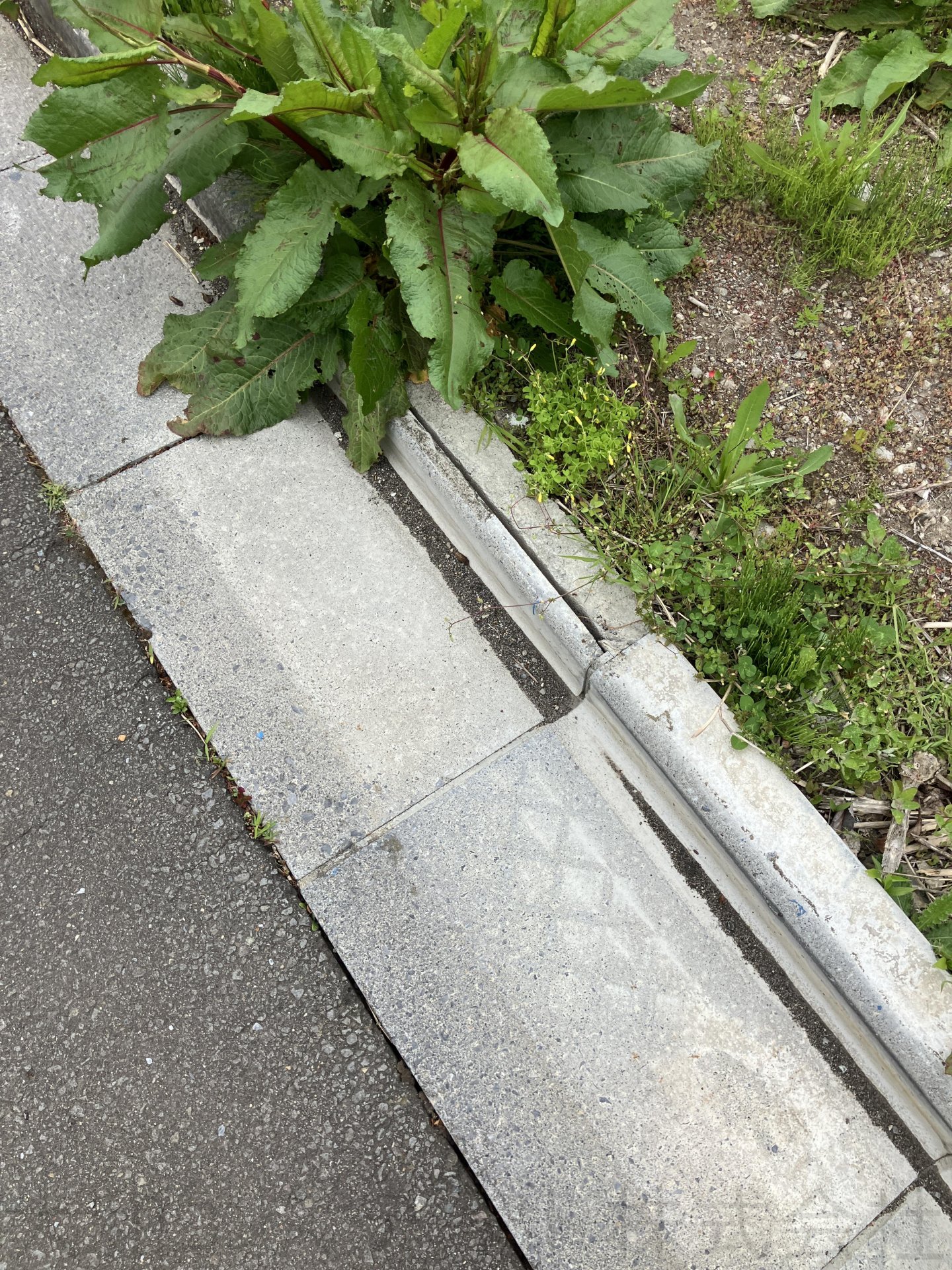 函館市湯川町三丁目土地