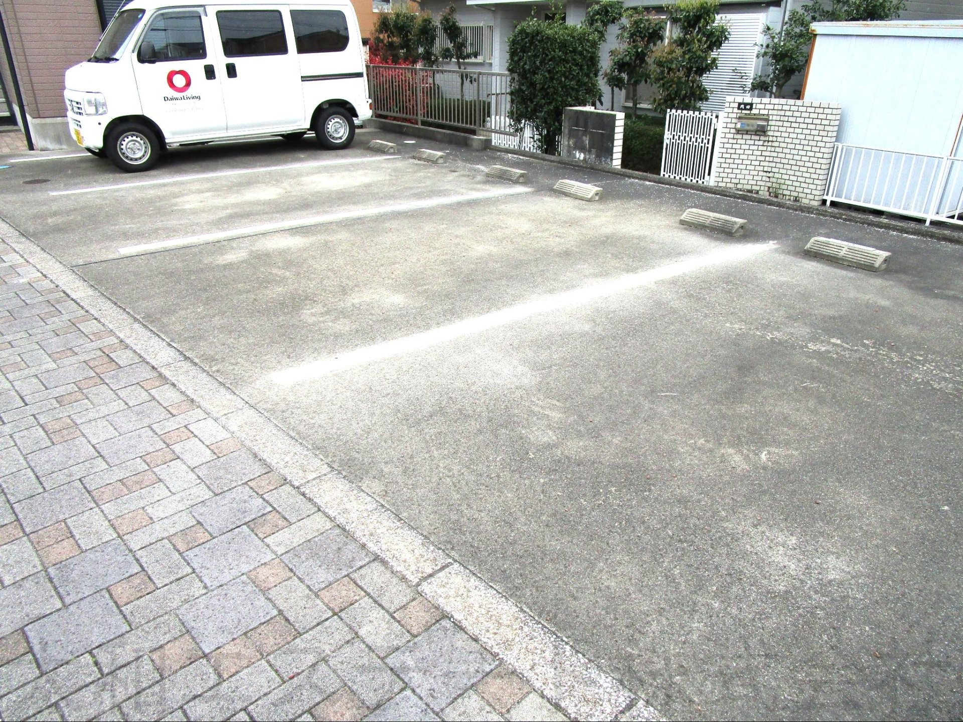 カモミール