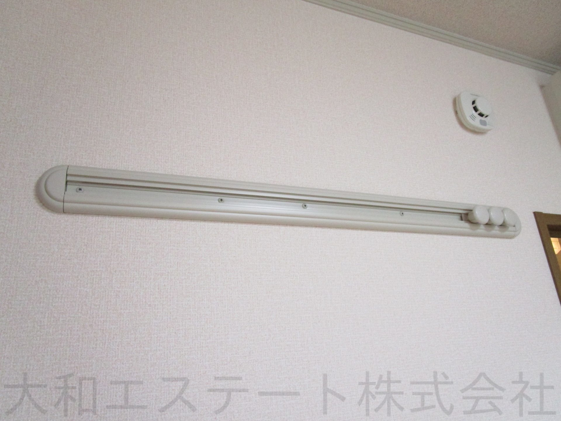 カモミール
