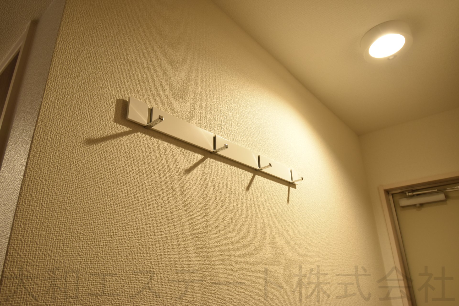 D-roomひよどり