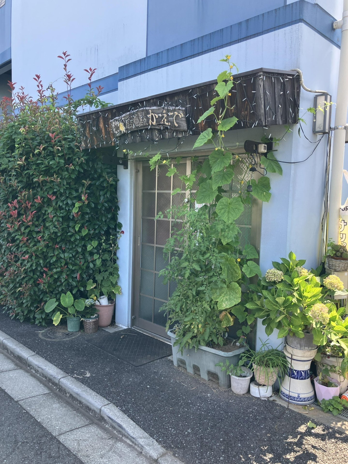 コラル・アスール