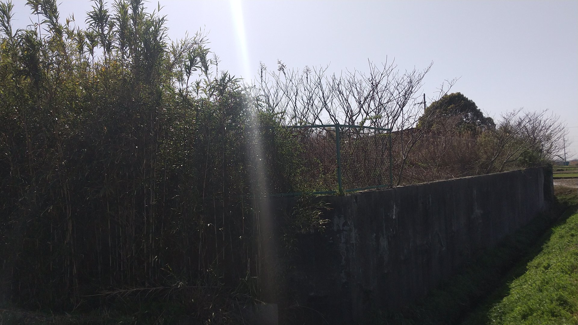 岩岡町事業用土地