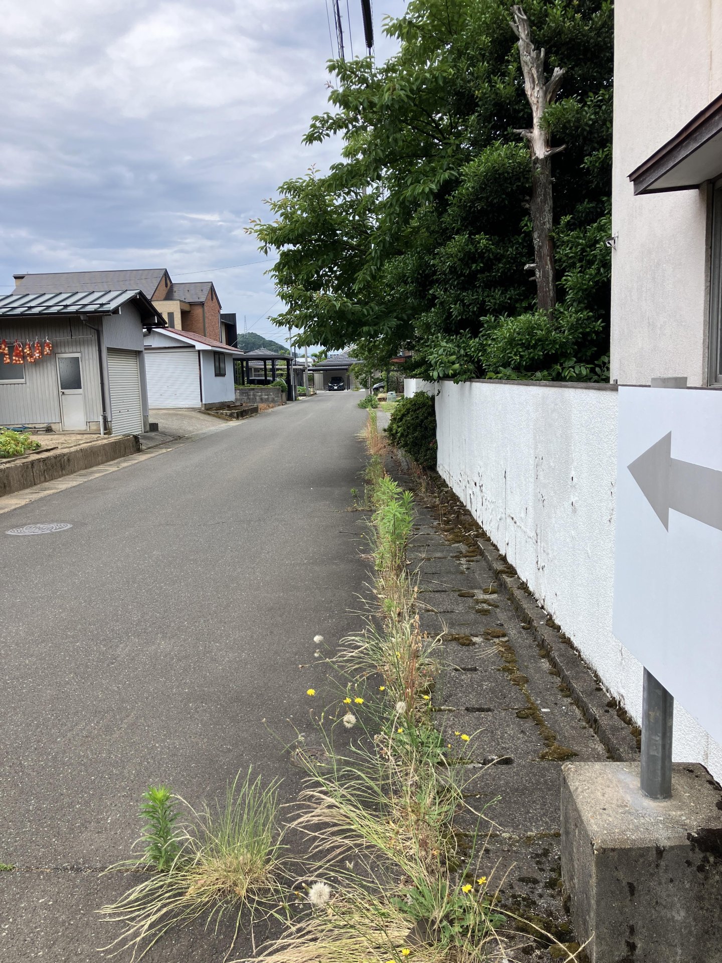 福井市板垣古家付土地