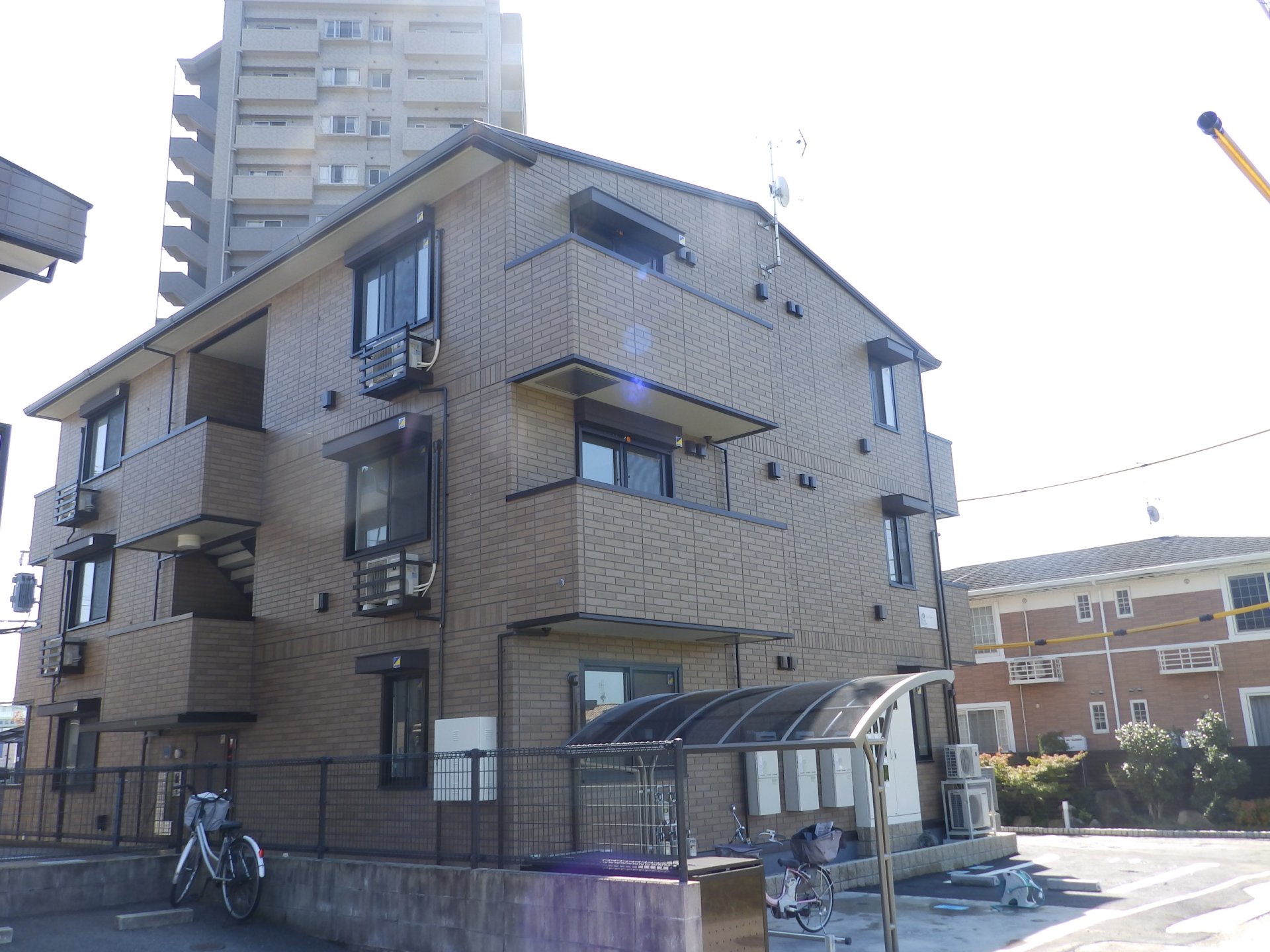 サンフラワー31