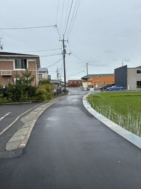 サンフラワー31